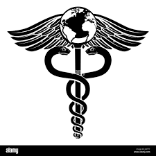 The International Medical