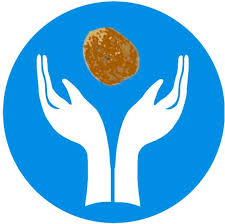 The Walnut Group