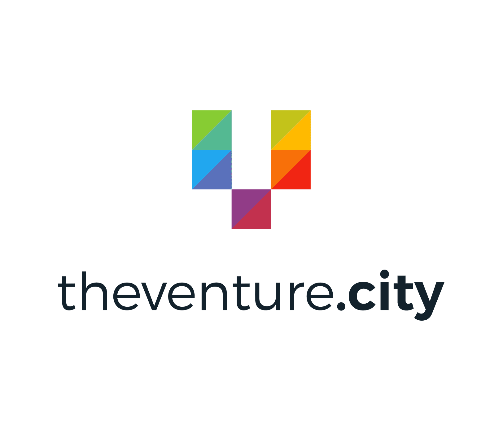 TheVentureCity Growth Accelerator