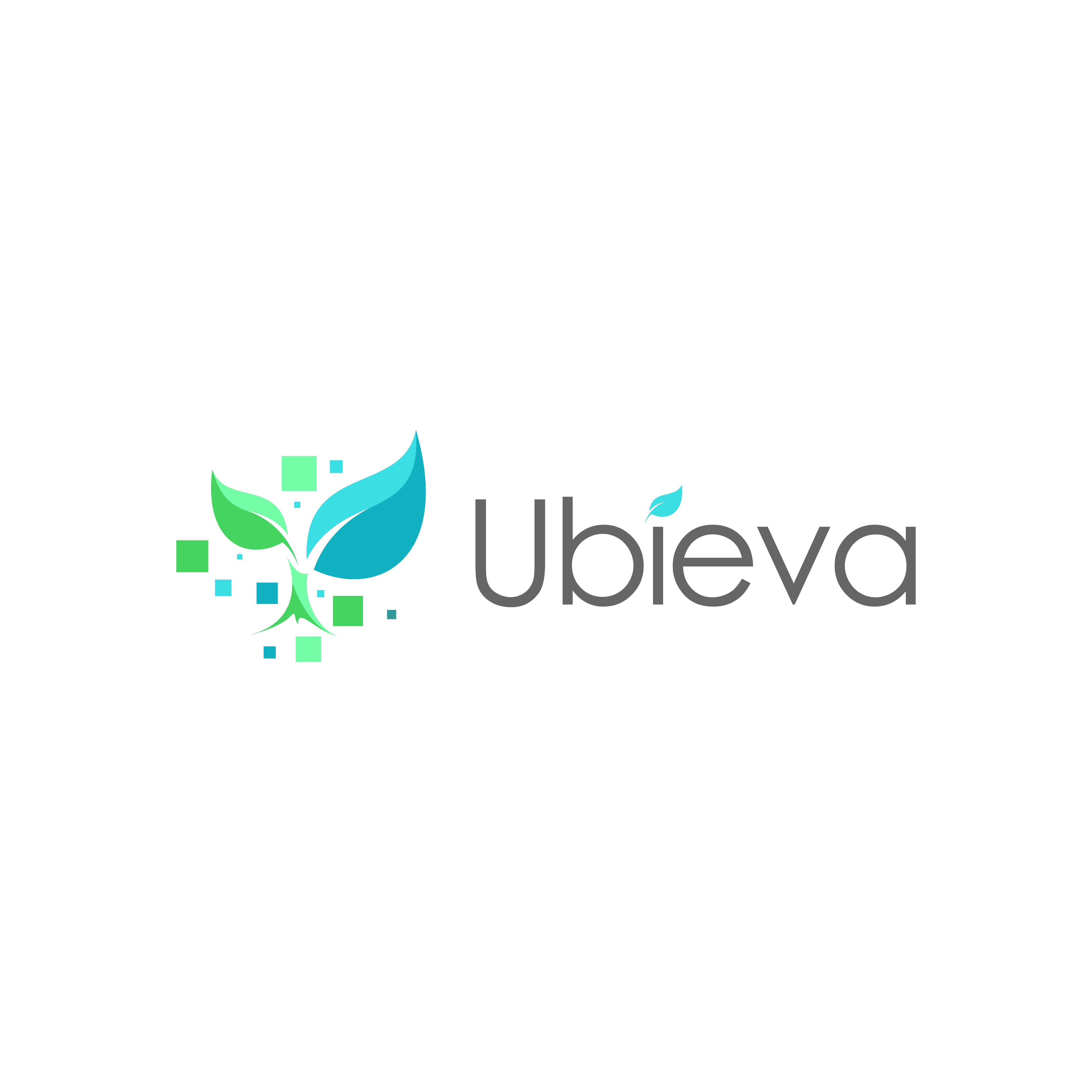 Ubieva LLC