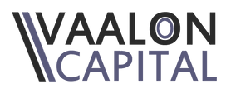 Vaalon Capital