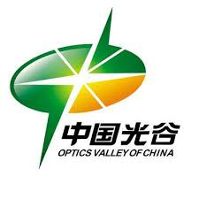 Wuhan Optics Valley Industrial Investment