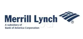 DSP Merrill Lynch