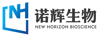 New Horizon Health