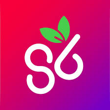 Storeberry.ai logo